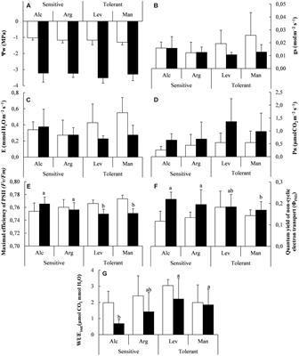 Drought Tolerance in Pinus halepensis Seed Sources As Identified by Distinctive Physiological and Molecular Markers